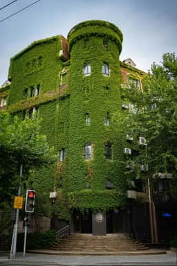The Green House