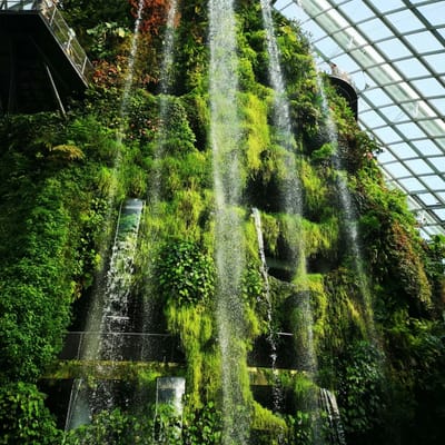 The Green House