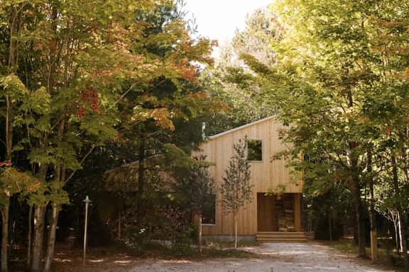 Forest Cabin at Parcel - Image 1