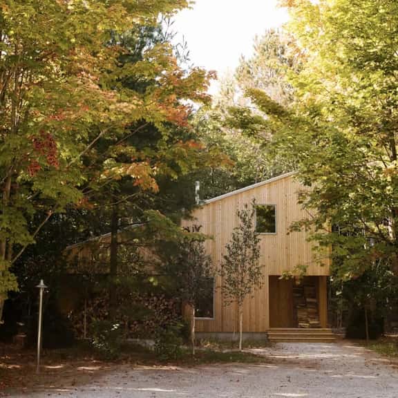 Forest Cabin at Parcel - Image 1