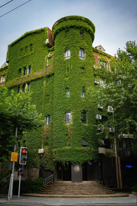 The Green House